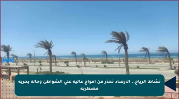 نشاط الرياح.. الأرصاد تحذر من أمواج عالية على الشواطئ وحالة بحرية مضطربة